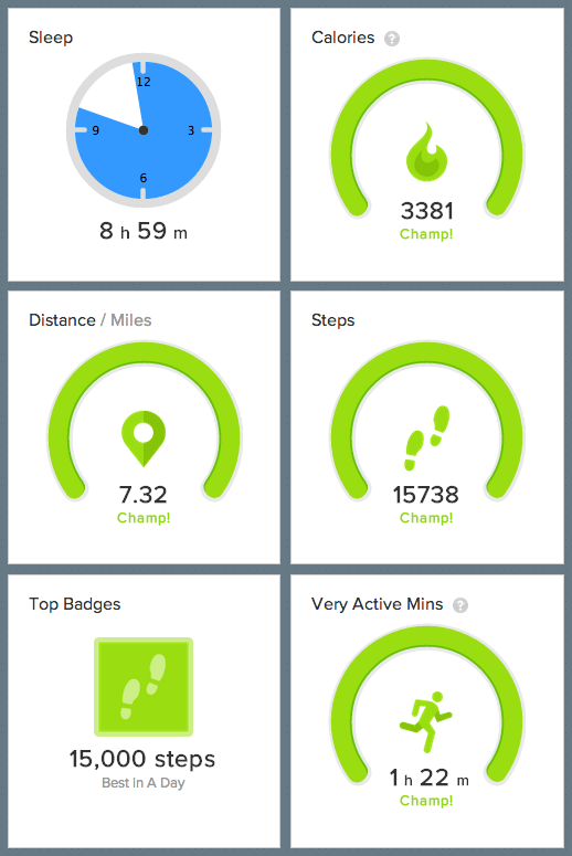 Fitbit Dashboard