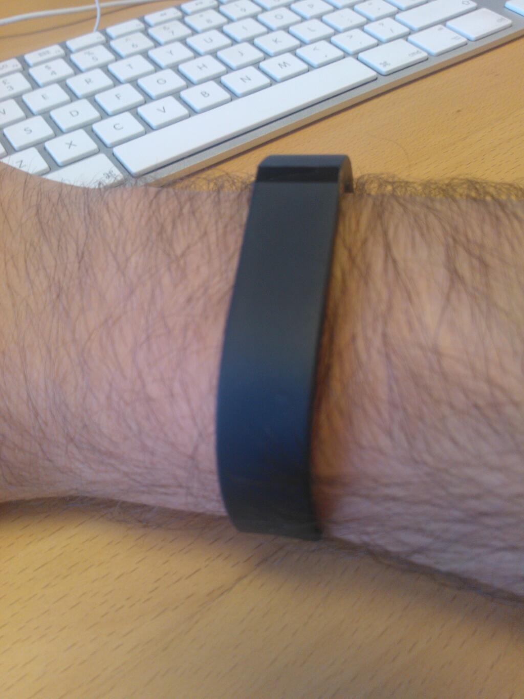 Fitbit Flex