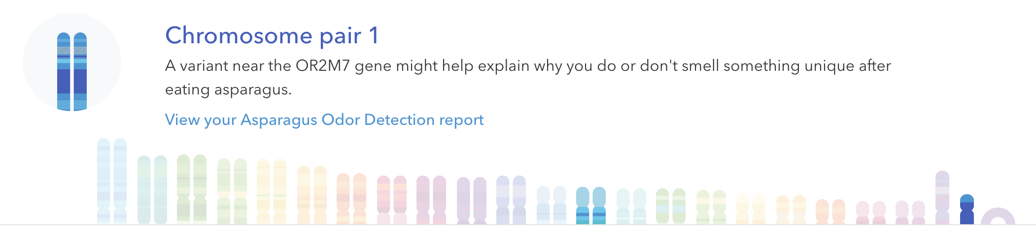 Chromosome Highlight